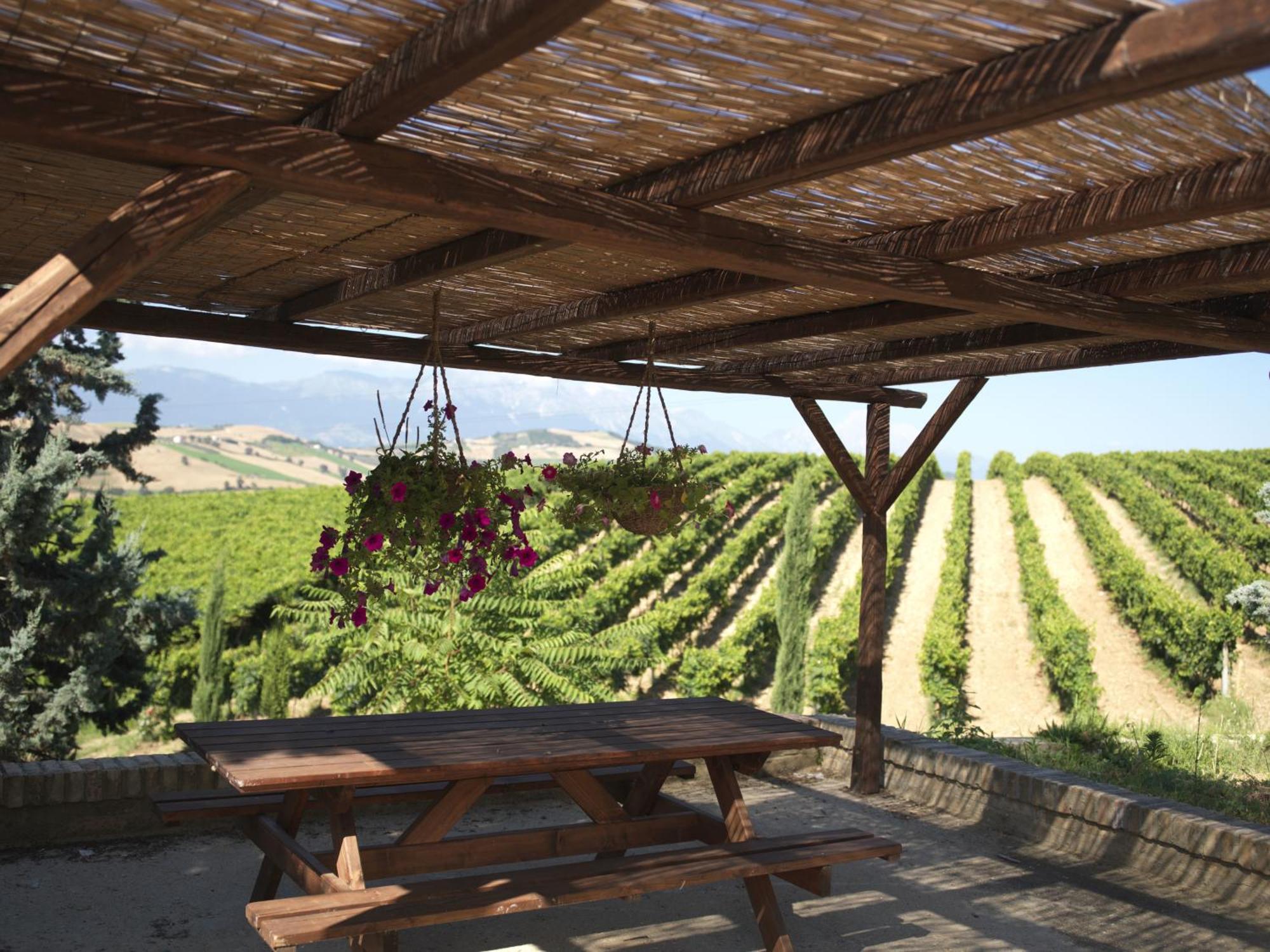 Contado San Lorenzo B&B&Wine Castilenti Exterior foto
